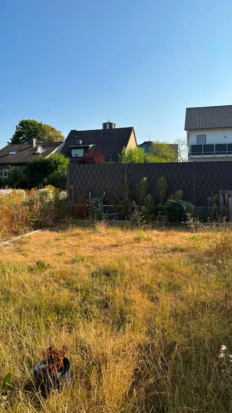 Stärker bewachsene Gartenfläche mit hohem Gras